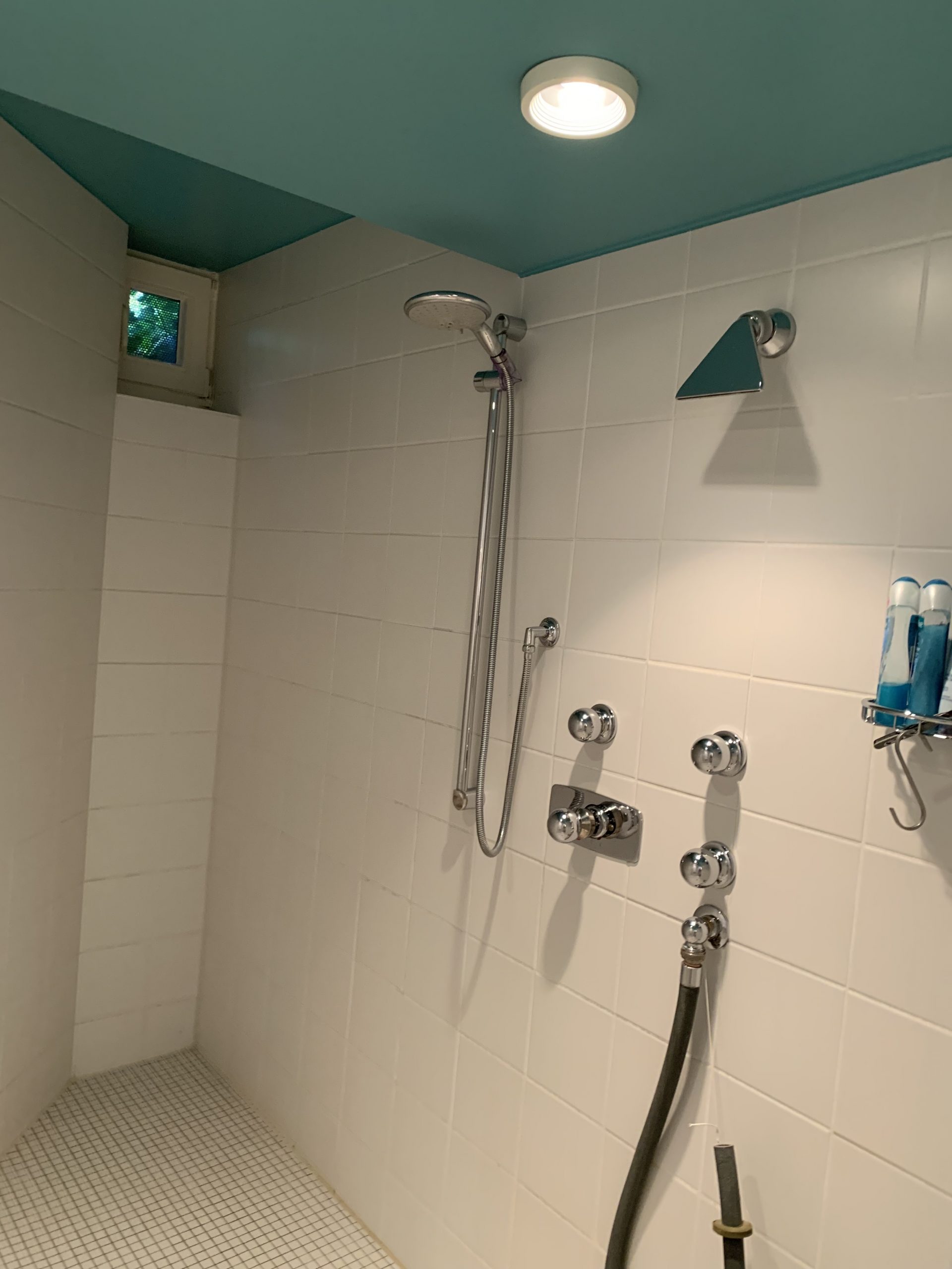 Wellnessdusche