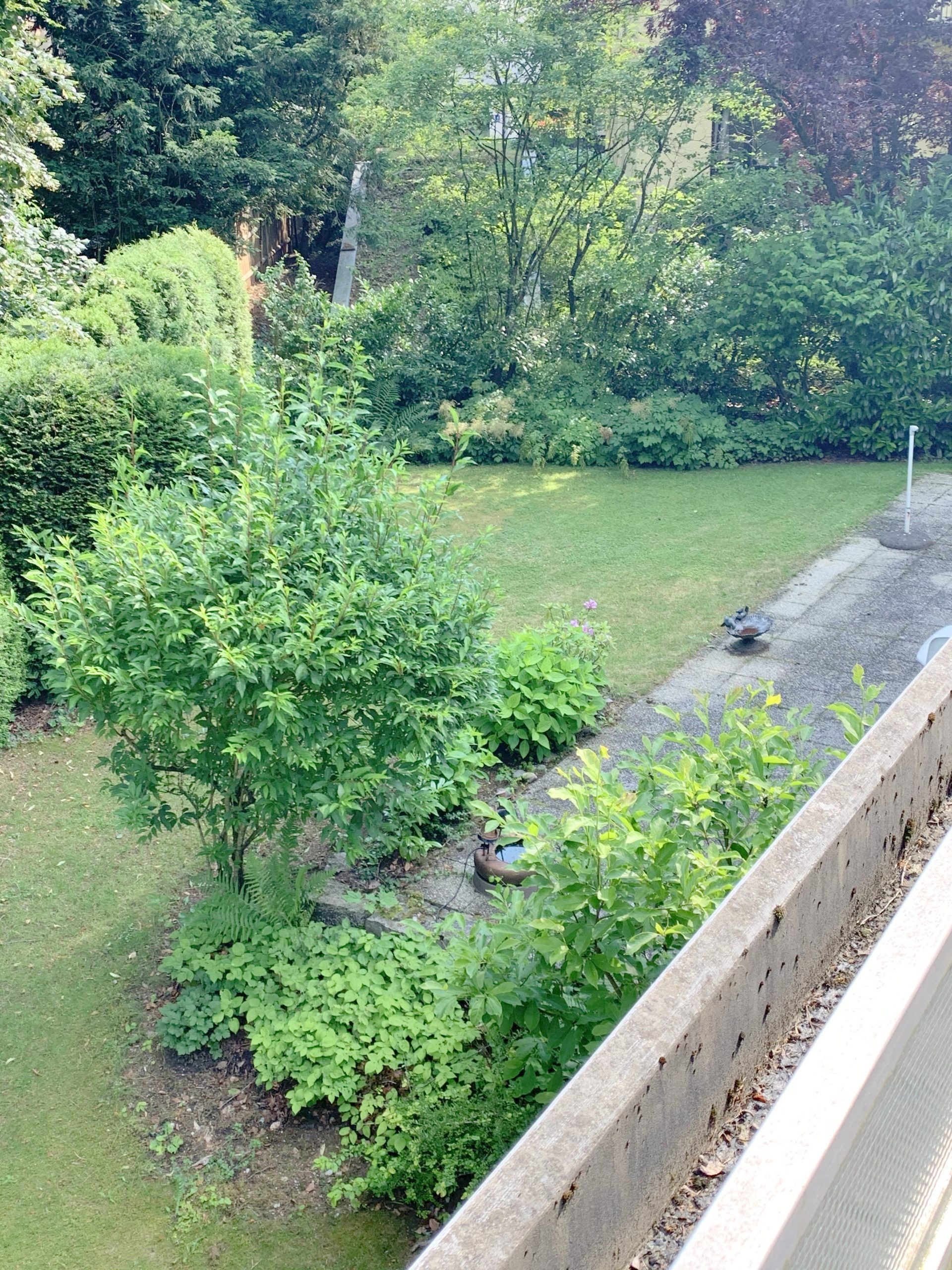 Ausblick