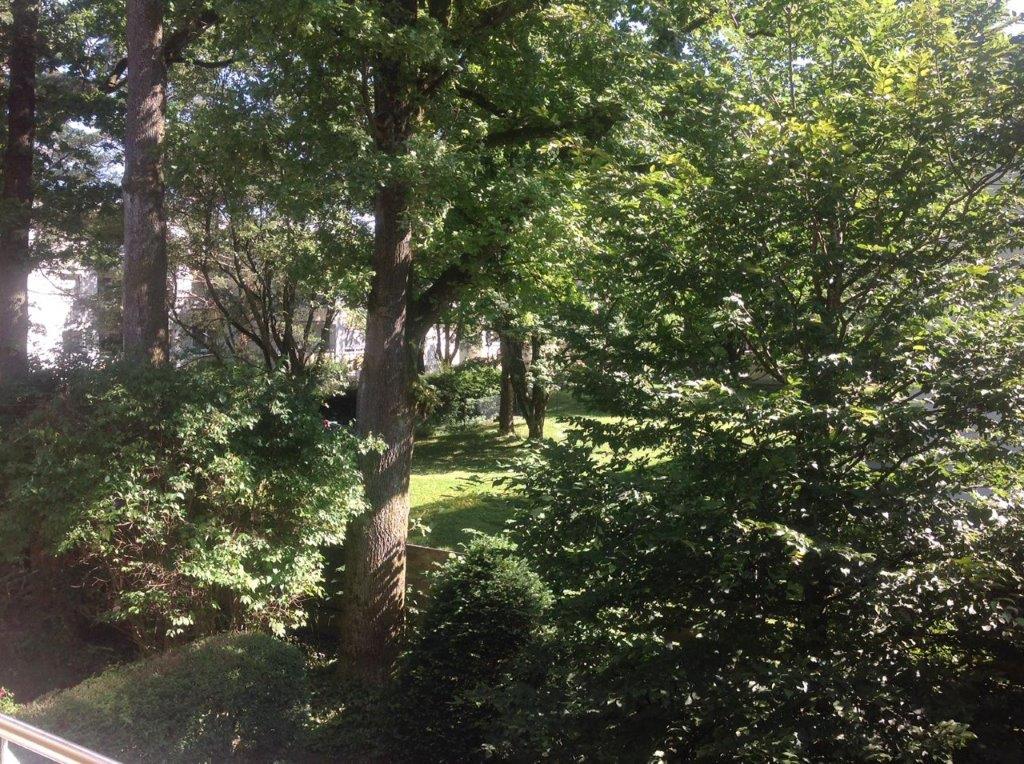 Ausblick