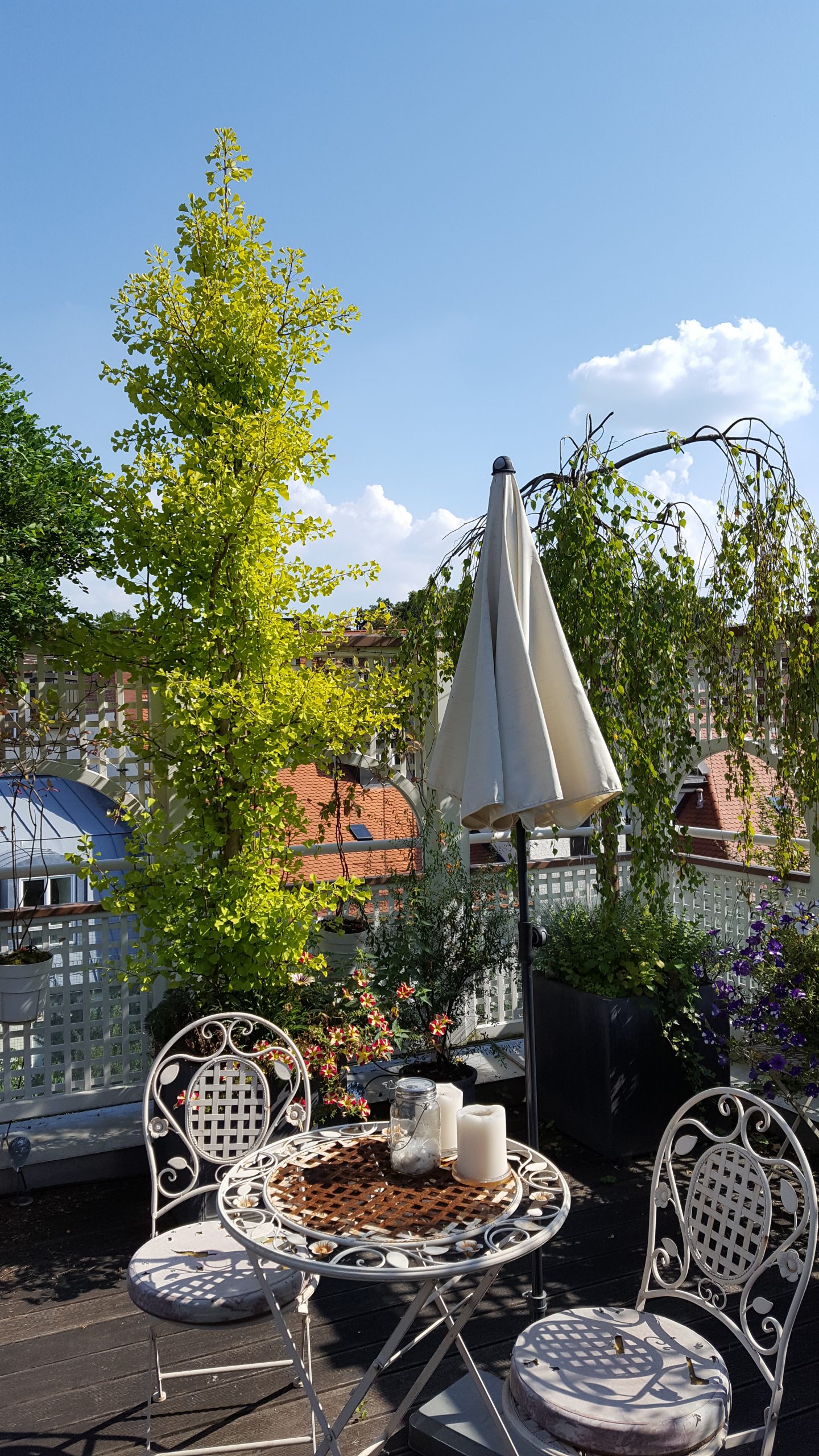 Terrasse04