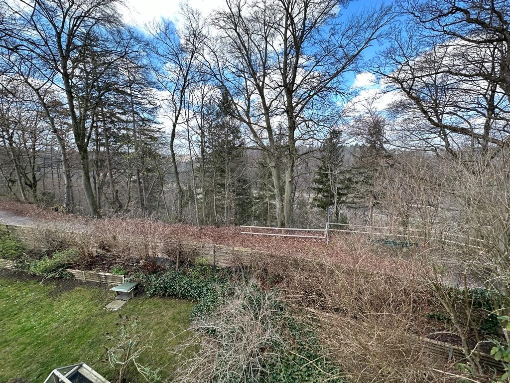 Bilder Ausblick